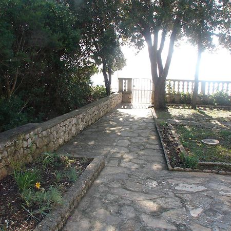 Villa Luna With Seaview Petrčane Extérieur photo